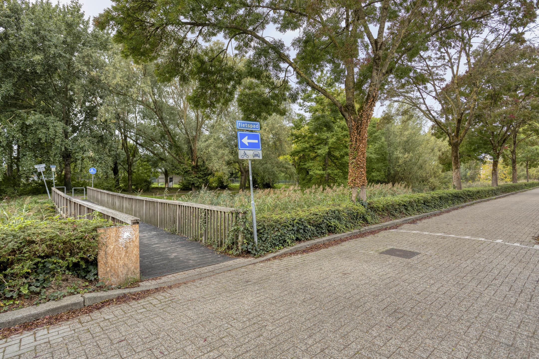 Plantijndomein
