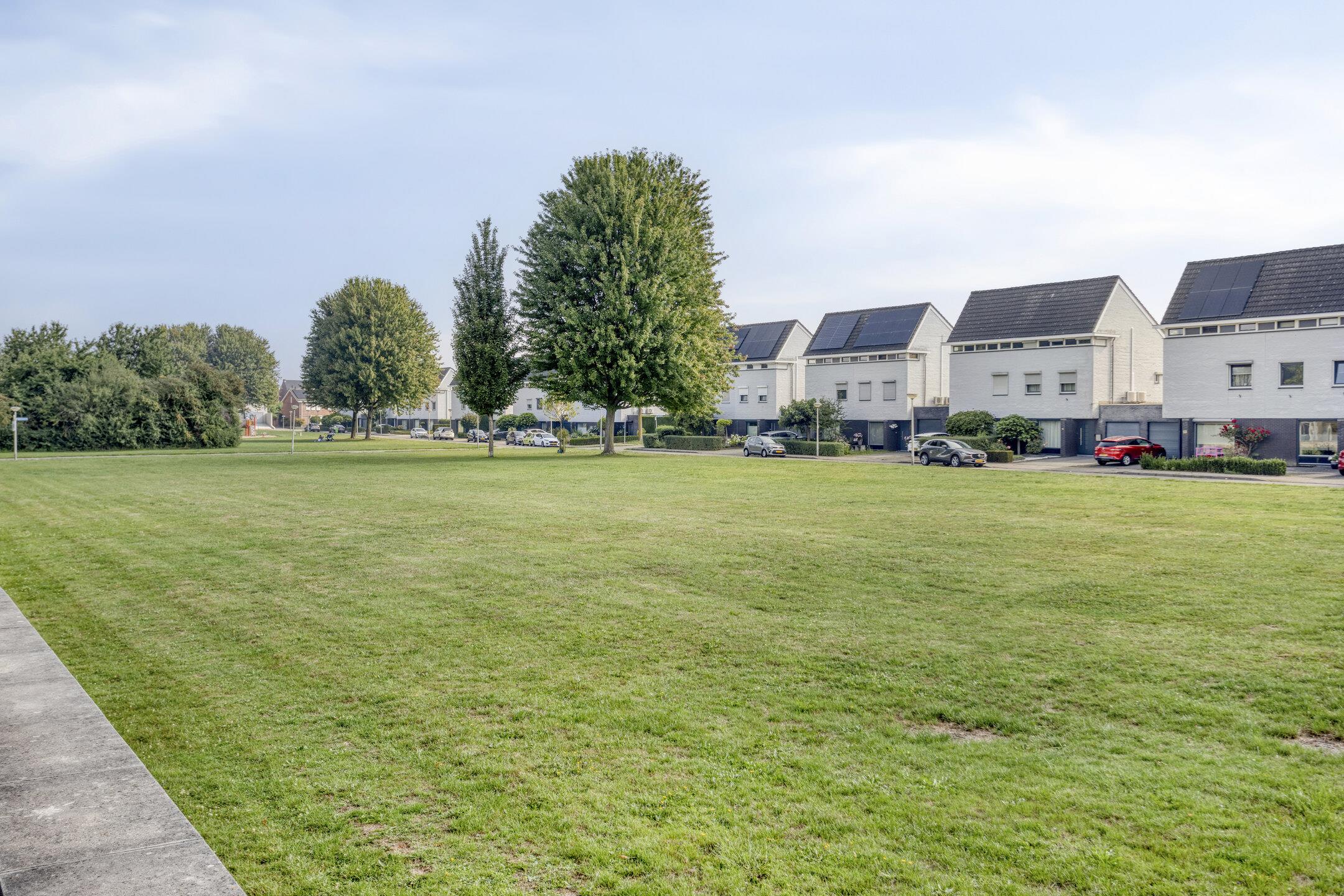 Roggehegge