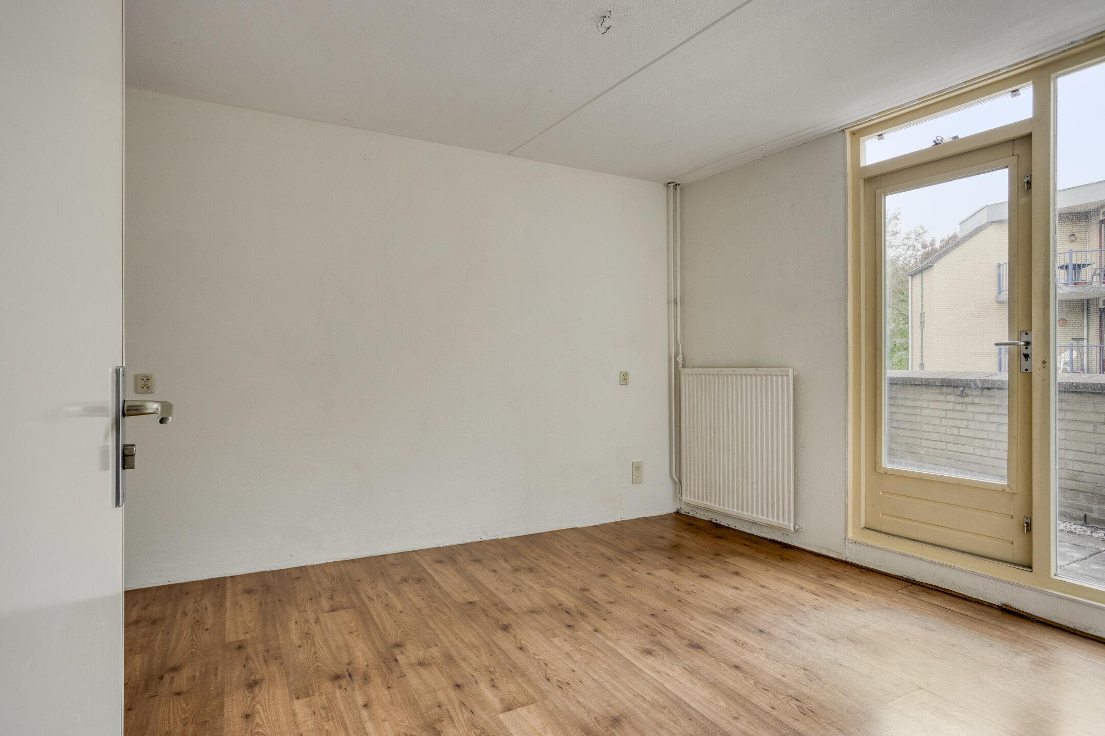 Plantijndomein